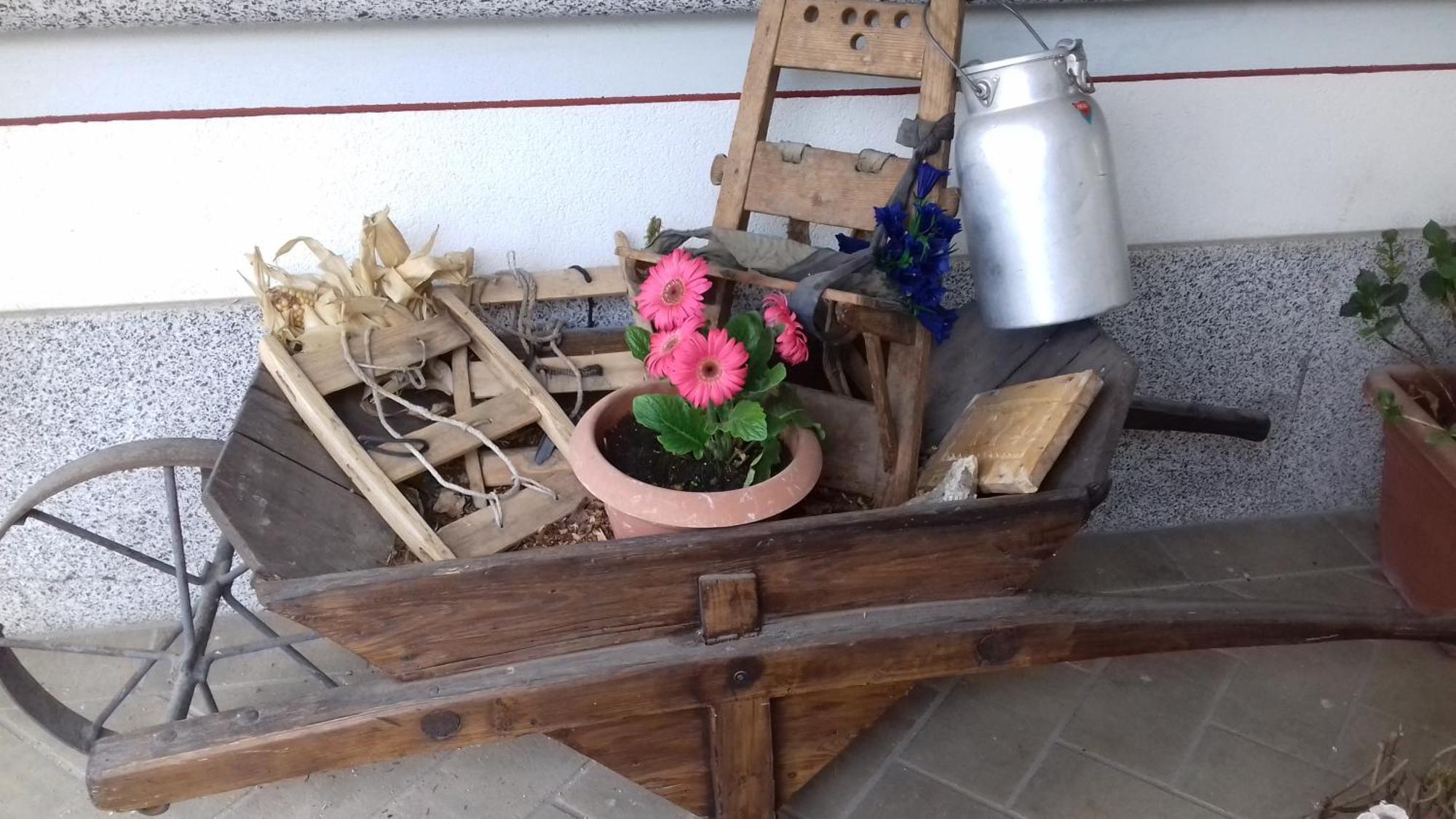 מונקלאסיקו B&B Nido Delle Aquile מראה חיצוני תמונה